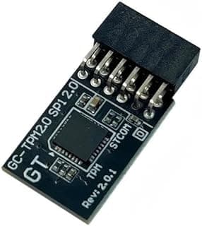 JINTAI Módulo TPM 2.0 SPI 12 pinos cartão remoto criptografia placa de segurança acessório para placa mãe GIGABYTE Z690, B860, B760, B650, B560, H510 Series