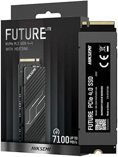 Ssd 1024GB M.2 2280 de 1 TB Funciona com PlayStation 5 Notebook PC Servidor SSd Interno leitura de até 7000 MB/s e escrita de 6000 MB/s Gamer High-end Hiksemi Futurex Lite