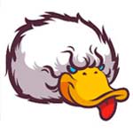 Patoloco